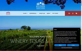 Bolgheriwinetours.com Screenshot 2024-04-17 14:51:11