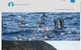 Gxorgwd.top Screenshot 2024-07-07 15:52:59