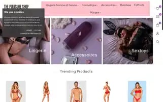 Thepleasure-shop.com Screenshot 2024-04-27 06:51:52