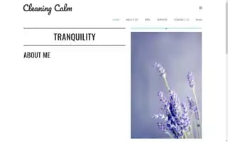 Cleaningcalm.com Screenshot 2024-05-24 00:52:44