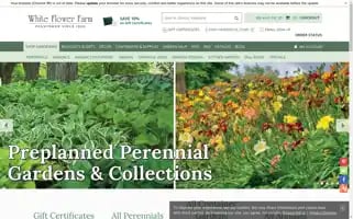 Whiteflowerfarm.com Screenshot 2024-05-15 02:32:02