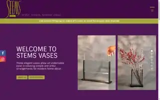 Stemsvases.com Screenshot 2024-05-14 02:14:34
