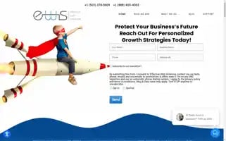 Effectivewebsolutions.biz Screenshot 2024-06-14 01:37:04