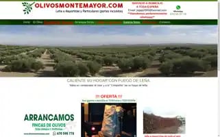 Olivosmontemayor.com Screenshot 2024-07-10 01:24:13