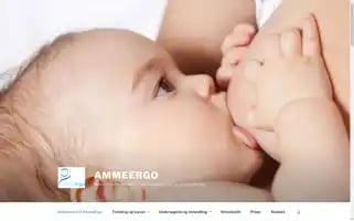 Ammeergo.dk Screenshot 2024-06-16 14:02:26