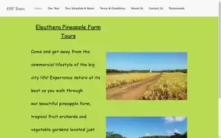 Eleutherapineapplefarmtours.com Screenshot 2024-04-18 14:03:55