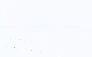 Tibbibitkiler.com Screenshot 2024-07-08 10:50:18