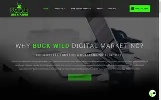 Buckwilddigitalmarketing.com Screenshot 2024-06-13 02:58:21