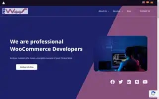 Prowoos.com Screenshot 2024-06-12 07:14:38