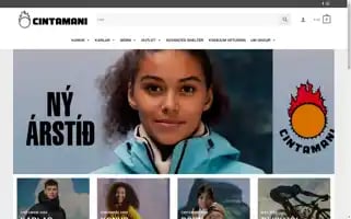 Cintamani.is Screenshot 2024-06-12 05:00:13