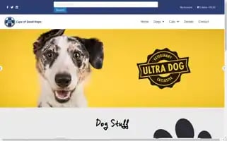 Shopcapespca.co.za Screenshot 2024-07-02 02:16:23