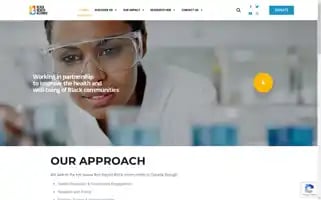 Blackhealthalliance.ca Screenshot 2024-06-13 23:03:50