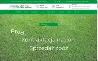 Sowul.pl Screenshot 2024-06-18 13:45:17