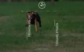 Wt-kojan.se Screenshot 2024-06-27 00:01:31