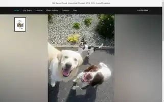 Dandgpethotel.com Screenshot 2024-04-17 16:06:21