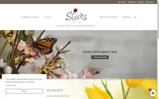 Stemsandson.com Screenshot 2024-06-14 04:46:54