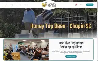 Honeytopbees.com Screenshot 2024-05-25 00:02:47