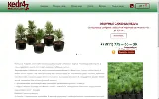 Kedr47.ru Screenshot 2024-05-20 00:19:03