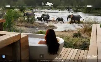 Indigoluxurytravel.co.nz Screenshot 2024-04-15 19:57:54