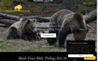 Yellowstonewesterntours.com Screenshot 2024-04-15 01:31:17