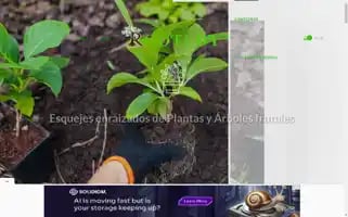 Rootedy.com Screenshot 2024-05-25 00:06:38
