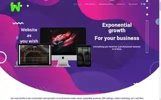 Developa.website Screenshot 2024-05-22 01:30:34