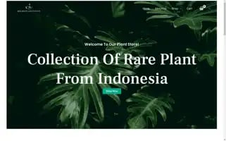 Bolangplantgarden.com Screenshot 2024-05-24 17:13:22