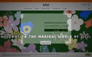 Bfulkids.com Screenshot 2024-05-18 09:02:24