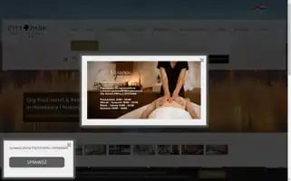 Cityparkhotel.pl Screenshot 2024-04-25 17:20:06