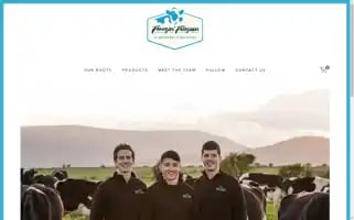 Freezinfriesian.ie Screenshot 2024-06-29 15:49:02