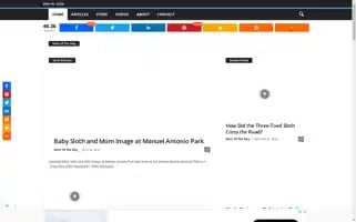 Slothoftheday.com Screenshot 2024-06-11 05:44:17