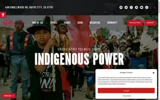Ndncollective.org Screenshot 2024-06-29 15:36:44