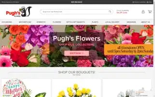 Pughs.com Screenshot 2024-05-13 14:07:38