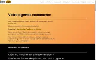 Cibleweb.com Screenshot 2024-06-30 23:59:27