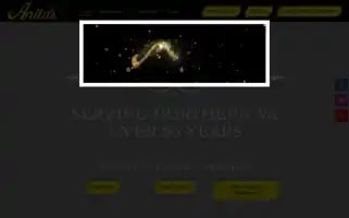 Anitascorp.com Screenshot 2024-05-15 11:48:40