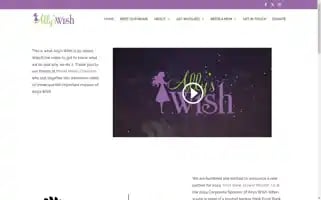 Allyswish.org Screenshot 2024-06-29 17:08:52