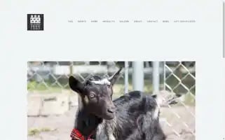 Wildflowerfarmorlando.com Screenshot 2024-07-01 17:52:58