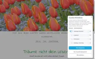 Alexandraundmichaelontour.de Screenshot 2024-04-17 09:19:37