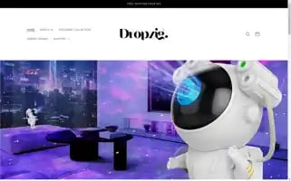Dropzig.com Screenshot 2024-05-03 09:26:34