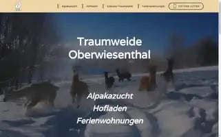 Traumweide.com Screenshot 2024-06-15 02:31:59