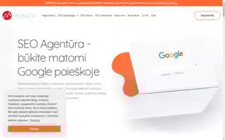 Seoneta.lt Screenshot 2024-07-08 18:26:00