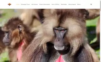 Awazetours.com Screenshot 2024-04-17 17:28:05