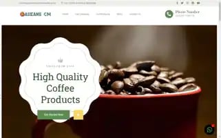 Aseanscameroonltd.com Screenshot 2024-05-27 00:14:27