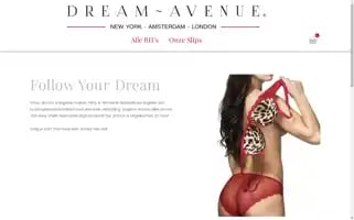 Dreamavenuelingerie.nl Screenshot 2024-05-18 04:17:25