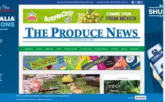 Theproducenews.com Screenshot 2024-05-14 10:31:48