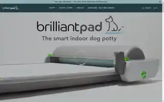 Brilliantpad.com Screenshot 2024-05-04 04:28:09