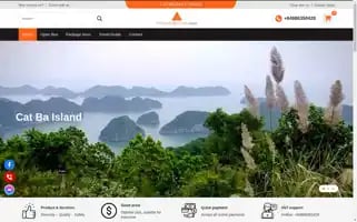 Catbadailytours.com Screenshot 2024-04-25 20:30:18