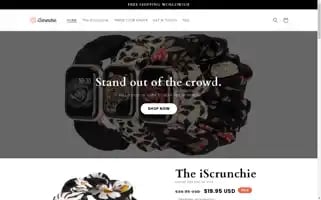 Theiscrunchie.com Screenshot 2024-04-27 16:07:04