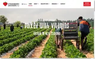Strawbsnz.co.nz Screenshot 2024-05-14 02:43:51