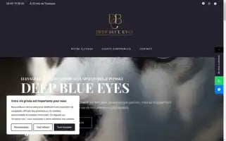 Elevagedeepblueeyes.fr Screenshot 2024-06-15 17:00:30